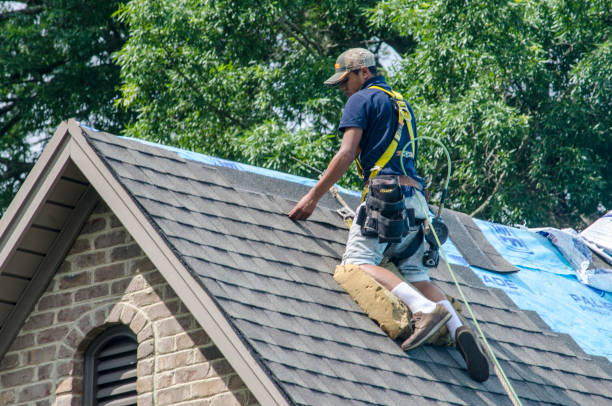Best Storm Damage Roof Repair  in Dillon, MT